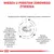 Wiedza u podstaw zdrowego żywienia. Wysokostrawne składniki, odpowiedni poziom elektrolitów, receptura z omega-3 (EPA+DHA), witaminą E, C i tauryną, wysoka smakowitość.