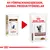 Ny förpackningsdesign för Royal Canin Gastro Intestinal kattmat visas, med gammal och ny påse samt texten: Ny förpackningsdesign, samma produktfördelar.