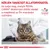 Kérjen tanácsot állatorvosától, és tudja meg, melyik ROYAL CANIN állatorvosi diétás eledel a megfelelő az Ön macskája számára. VETERINARY NUTRITION