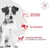 Royal Canin Veterinary Canine Glycobalance Small Dog Royal Canin Veterinary Canine Glycobalance Small Dog