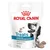 Royal Canin Treats, compatible with hypoallergenic diets, hydrolysed protein, vitamin B12, 230 g. Imagen del envase con golosinas y perro en el frontal.