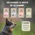 Gamme de croquettes TAO pour chiens : Croissance, Maintenance, Énergie, Sénior. Texte visible : « À savoir : TAO existe aussi pour les chats »