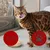 thrive Complete Adult - Tuna Fillet - 6 x 75g thrive Complete Adult - Tuna Fillet - 6 x 75g