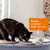 Chat mange de la nourriture humide dans une assiette, à côté une boîte portant l'inscription « Repas complet tout-en-un ». Chat mange de la nourriture humide dans une assiette, à côté une boîte portant l'inscription « Repas complet tout-en-un ».