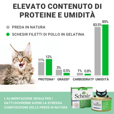 Schesir in Gelatina 24 x 85 g