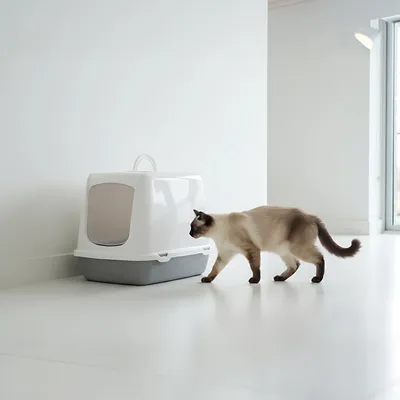 Savic Katzentoilette Oscar