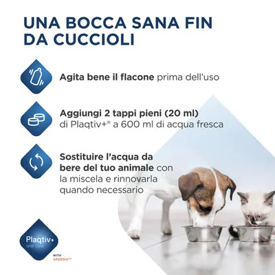 Istruzioni: agitare la bottiglia, aggiungere 2 tappi pieni (20 ml) di Plaqtiv+ a 600 ml di acqua, sostituire l'acqua potabile dell'animale con la miscela e rinnovare se necessario. Istruzioni: agitare la bottiglia, aggiungere 2 tappi pieni (20 ml) di Plaqtiv+ a 600 ml di acqua, sostituire l'acqua potabile dell'animale con la miscela e rinnovare se necessario.