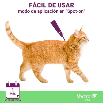 Gato con ilustración de pipeta en la espalda. Texto: FÁCIL DE USAR, modo de aplicación en 'Spot-on', 1 mes de protección. Marca Vectra Felis.