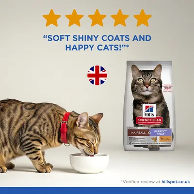 Hill's Science Plan Hairball & Perfect Coat Adult Chicken