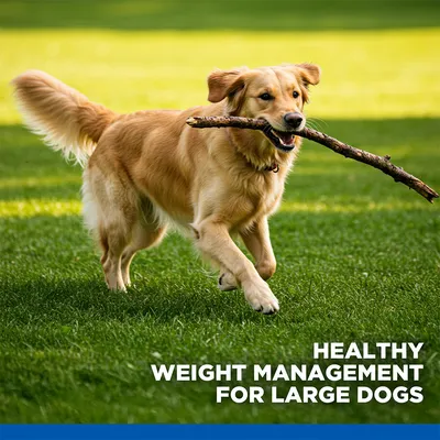 Hill's Science Plan Perfect Weight Adult 1+ Large with Chicken