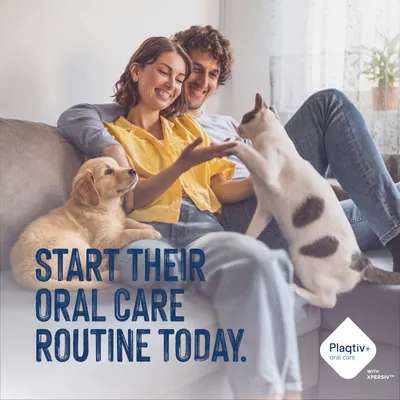 Text in image: Start their oral care routine today. Plaqtiv+ oral care with Xpersiv. Text in image: Start their oral care routine today. Plaqtiv+ oral care with Xpersiv.