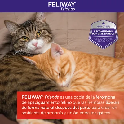 FELIWAY Friends. Marca nº1 recomendado por veterinarios, clínicamente probado. Copia de la feromona de apaciguamiento felino para crear armonía y unión entre gatitos.