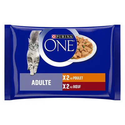 Sachet Purina ONE Adulte pour chat, X2 au poulet, X2 au bœuf, image d’un chat et d’une assiette de morceaux visibles sur l’emballage.