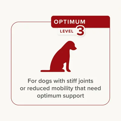 Optimum level 3: For dogs with stiff joints or reduced mobility that need optimum support.