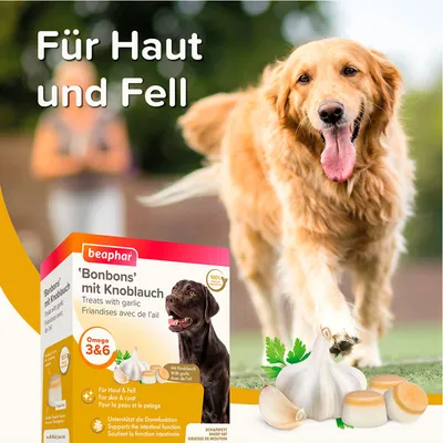 Beaphar Bonbons mit Knoblauch für Haut und Fell. Unterstützt die Darmfunktion. Omega 3 & 6, 100% natürliche Zutaten. Verpackung zeigt Knoblauch und Hund.