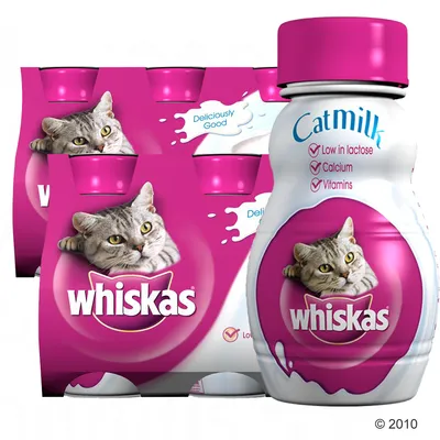 Whiskas Catmilk, confezione e bottiglia con gatto grigio, testo visibile: 'Deliciously Good', 'Catmilk', 'Low in lactose', 'Calcium', 'Vitamins'.