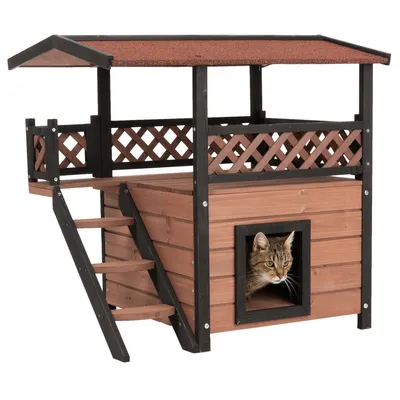 Holz-Katzenhaus mit Treppe, Balkon und überdachtem Bereich. Katze schaut aus quadratischer Öffnung im unteren Bereich heraus.