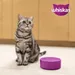 Whiskas 1+ Beef - cat dry food