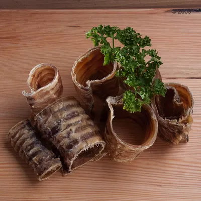 Flera bitar torkad hundtugg i rullad form av naturligt material, placerade på träyta med en kvist persilja ovanpå.