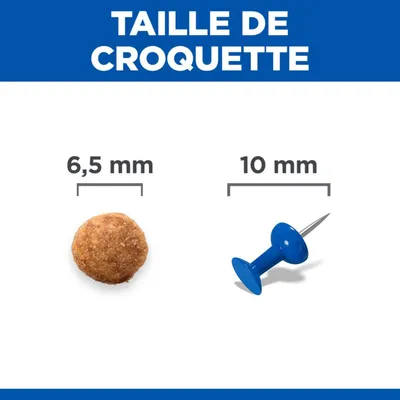 Comparaison de la taille des croquettes : une croquette de 6,5 mm de diamètre à côté d'une épingle de 10 mm de diamètre. Comparaison de la taille des croquettes : une croquette de 6,5 mm de diamètre à côté d'une épingle de 10 mm de diamètre.