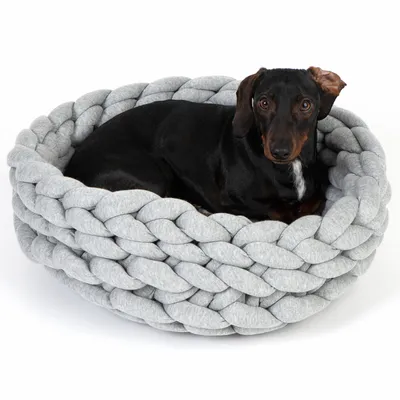 Hund in einem grauen, geflochtenen Haustierbett aus weichem Stoff. Produkt zeigt Komfort und Design des Bettes.