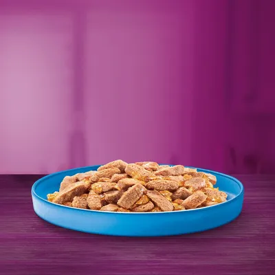 Croquettes ou bouchées pour animaux dans une gamelle bleue posée sur une table violette, sans marque ni texte visible.