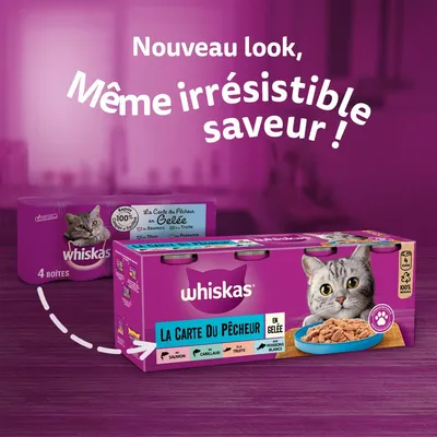 Whiskas La Carte du Pêcheur en gelée, 4 boîtes. Nouveau look, même irrésistible saveur. Variétés : saumon, cabillaud, truite, poissons blancs. Photo de l’emballage avec chat gris.