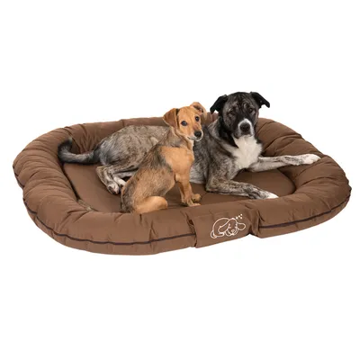 Braunes Hundebett mit zwei Hunden darauf, kleiner und grosser Hund. Logo mit Hundemotiv auf der Vorderseite des Bettes sichtbar.
