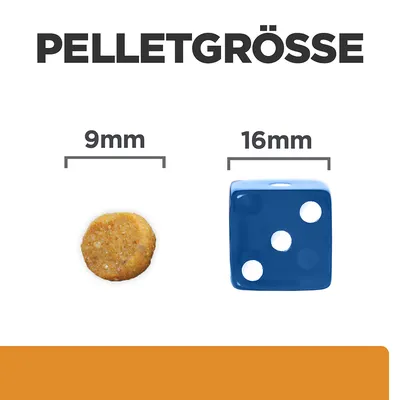 Pelletgrösse dargestellt: 9mm Pellet neben einem Vergleichswürfel mit 16mm Kantenlänge.