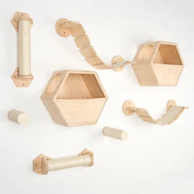 Set da parete per gatti in legno chiaro con due casette esagonali, ponti sospesi e tiragraffi cilindrici rivestiti in corda, tutti fissati al muro.