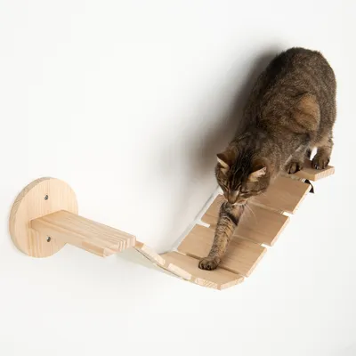 Pared de escalada de madera con elementos curvos, montada en la pared. Gato usando los peldaños de madera para trepar.
