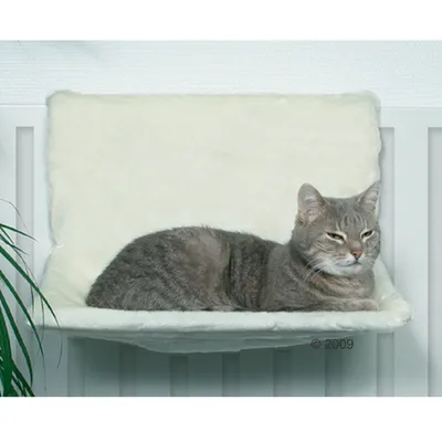 Siva mačka leži na belem plišastem ležišču, nameščenem na radiatorju. Vidna je mehka površina in naslonjalo ležišča.