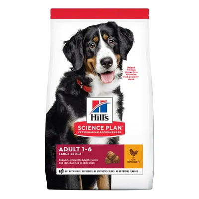 Hill's Science Plan Adult 1–6 Large 25 kg+ z kurczakiem. Na opakowaniu zdjęcie dużego psa, widoczne teksty: wspiera odporność, stawy i mięśnie dorosłych psów. Bez sztucznych dodatków.