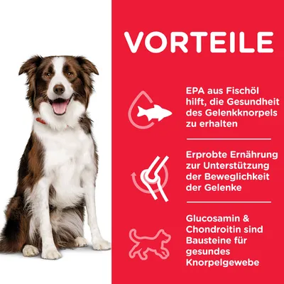 VORTEILE: EPA aus Fischöl unterstützt die Gesundheit des Gelenkknorpels. Erprobte Ernährung fördert Beweglichkeit der Gelenke. Glucosamin & Chondroitin stärken gesundes Knorpelgewebe.