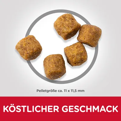 Croquettes en forme de cubes, taille des pellets env. 11 x 11,5 mm. Texte en allemand : KÖSTLICHER GESCHMACK.