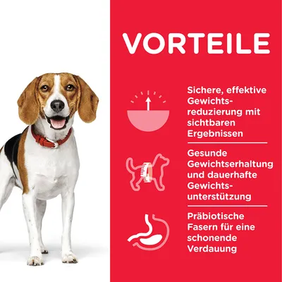 Vorteile: Sichere, effektive Gewichtsreduzierung mit sichtbaren Ergebnissen. Gesunde Gewichtserhaltung und dauerhafte Gewichtsunterstützung. Präbiotische Fasern für eine schonende Verdauung.