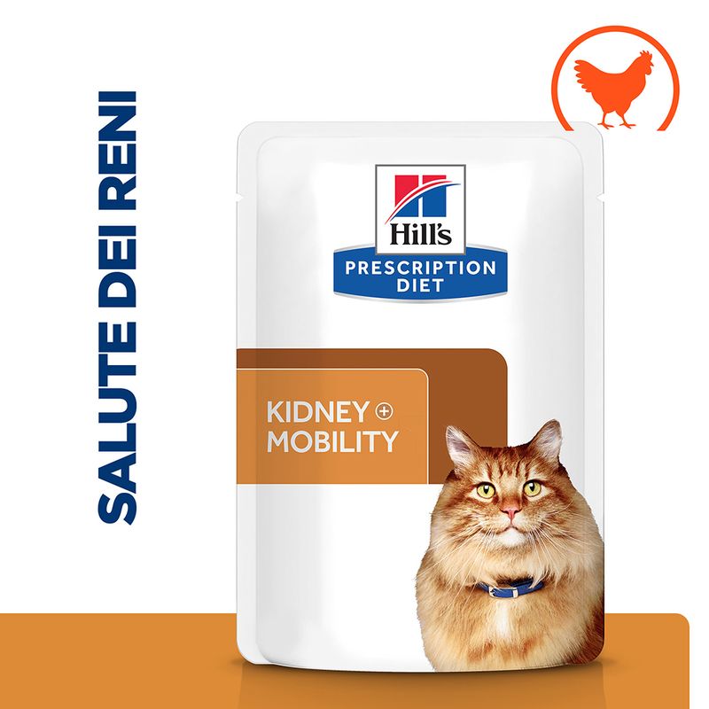 Hill's Prescription Diet k/d + Mobility Kidney + Joint Care umido per gatti