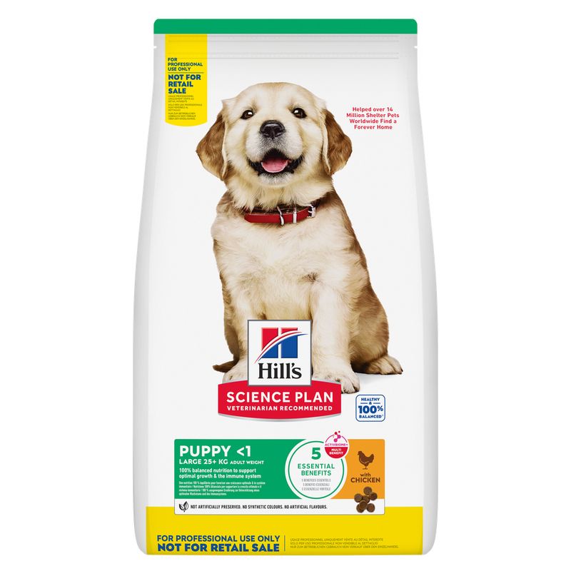 Hill's Science Plan Puppy <1 Large, kurczak