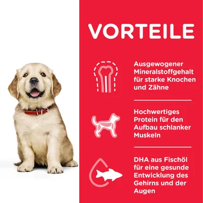 Vorteile: Ausgewogener Mineralstoffgehalt für starke Knochen und Zähne, hochwertiges Protein für schlanke Muskeln, DHA aus Fischöl für gesunde Entwicklung von Gehirn und Augen.