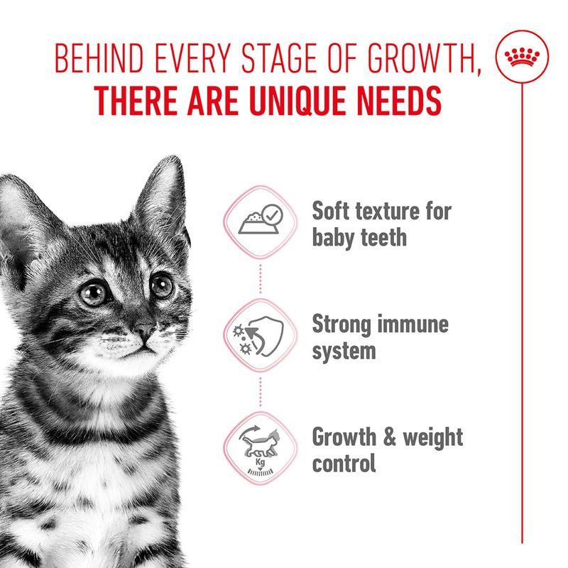 Royal Canin Sterilised Kitten in Gravy | zooplus