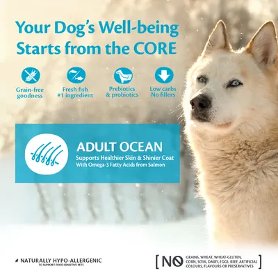 Adult Ocean food with grain-free, fresh fish as main ingredient, prebiotics, low carbs, no fillers. Supports healthier skin and coat with omega-3 from salmon. No grains or artificial additives.