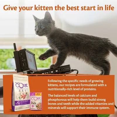 Kitten food products with text: Recipes for growing kittens are rich in proteins, calcium and phosphorous for strong bones and teeth, plus vitamins and minerals to support the immune system.