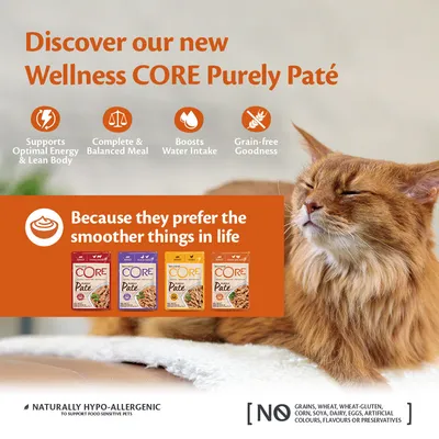 Wellness CORE Purely Paté features: supports optimal energy, balanced meal, boosts water intake, grain-free, hypo-allergenic, no grains, wheat, gluten, corn, soya, dairy, eggs or additives.