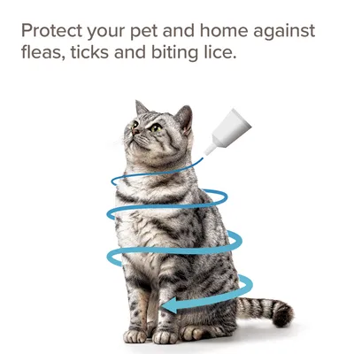 Instructional image showing application of flea, tick and lice protection for pets, with text: Protect your pet and home against fleas, ticks and biting lice.