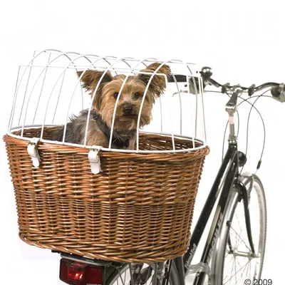 Cykelkorg av flätat trä med vitt metallgaller, fäst på cykel. Liten hund sitter i korgen under skyddsgallret.