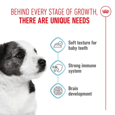 Behind every stage of growth, there are unique needs. Soft texture for baby teeth, strong immune system, brain development.