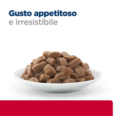 Cibo umido a bocconcini in salsa su piatto bianco, testo visibile: Gusto appetitoso e irresistibile.