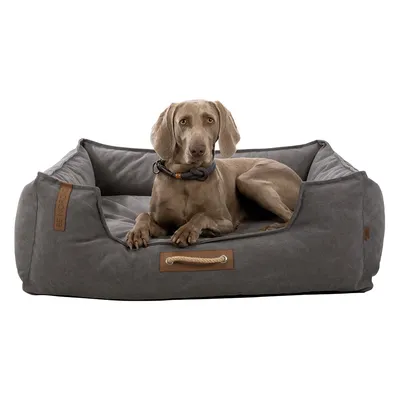 Graues Hundebett mit Seilgriff und Lederdetails, rechteckige Form. Markenname BeeNordic sichtbar auf der Seite.