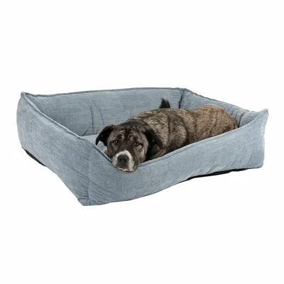 Cane tigrato sdraiato in una cuccia rettangolare imbottita di tessuto grigio chiaro, bordo alto e fondo spesso, su sfondo bianco.