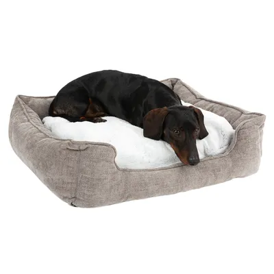 Hund liegt auf einem grauen Hundebett mit weisser, weicher Polsterung. Produkt zeigt Komfort und Design des Bettes.